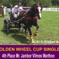 Mr. Jambor Vilmos CAI-O Kisber Aszar Management and Organizer, has got the 4th Place at the MARATHON , Thanks for his Suport of Golden Wheel CUP 2009 for Single Driving.   www.single-driving.hu